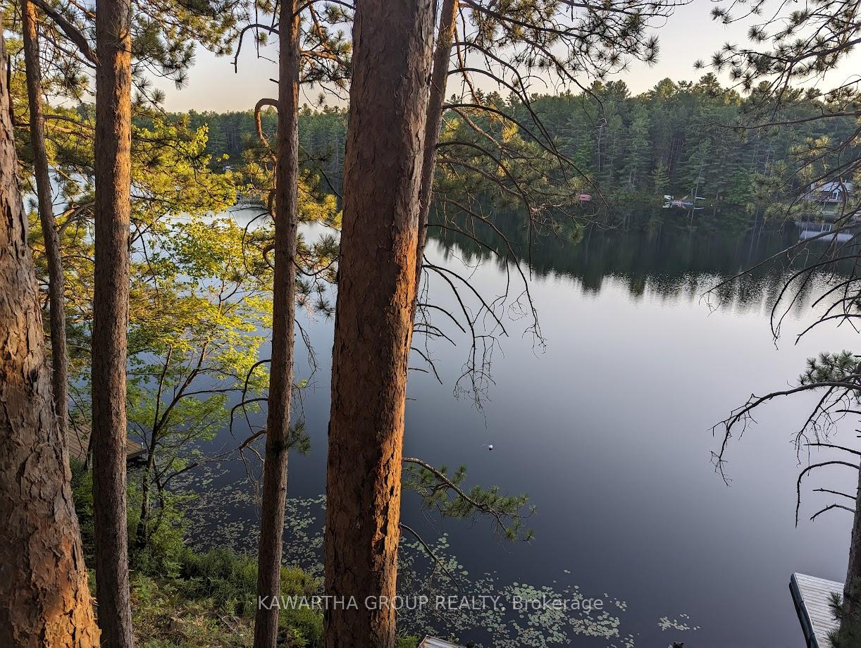 Photo 41 of 1339 Spar Lake Road, Minden Hills, Lutterworth — HOMEH