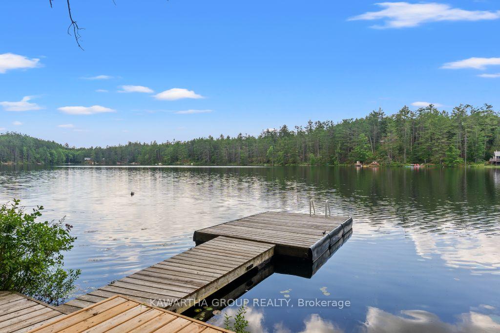 Photo 44 of 1339 Spar Lake Road, Minden Hills, Lutterworth — HOMEH