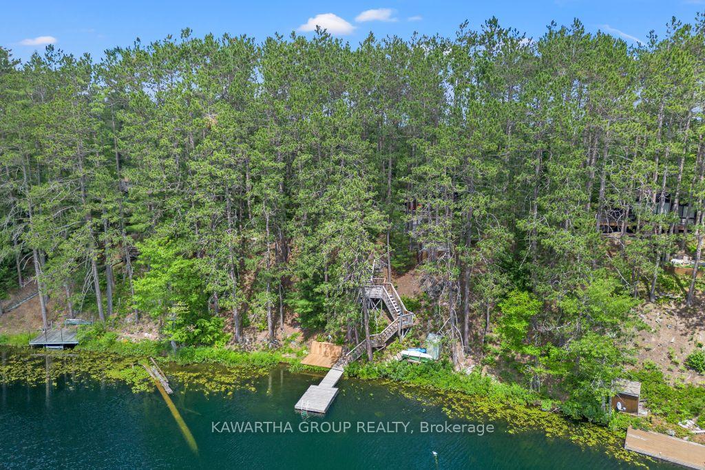 Photo 45 of 1339 Spar Lake Road, Minden Hills, Lutterworth — HOMEH