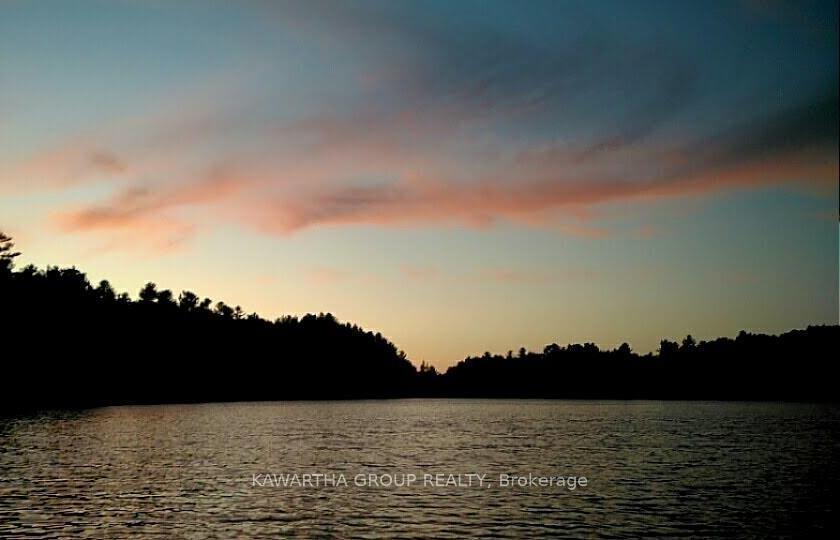Photo 49 of 1339 Spar Lake Road, Minden Hills, Lutterworth — HOMEH