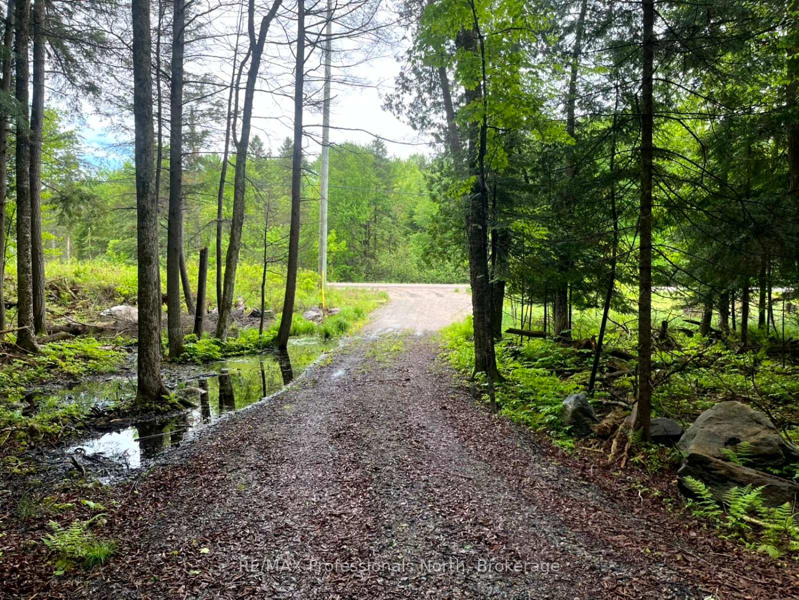 Photo 3 of County 21 Road, Minden Hills, Minden — HOMEH