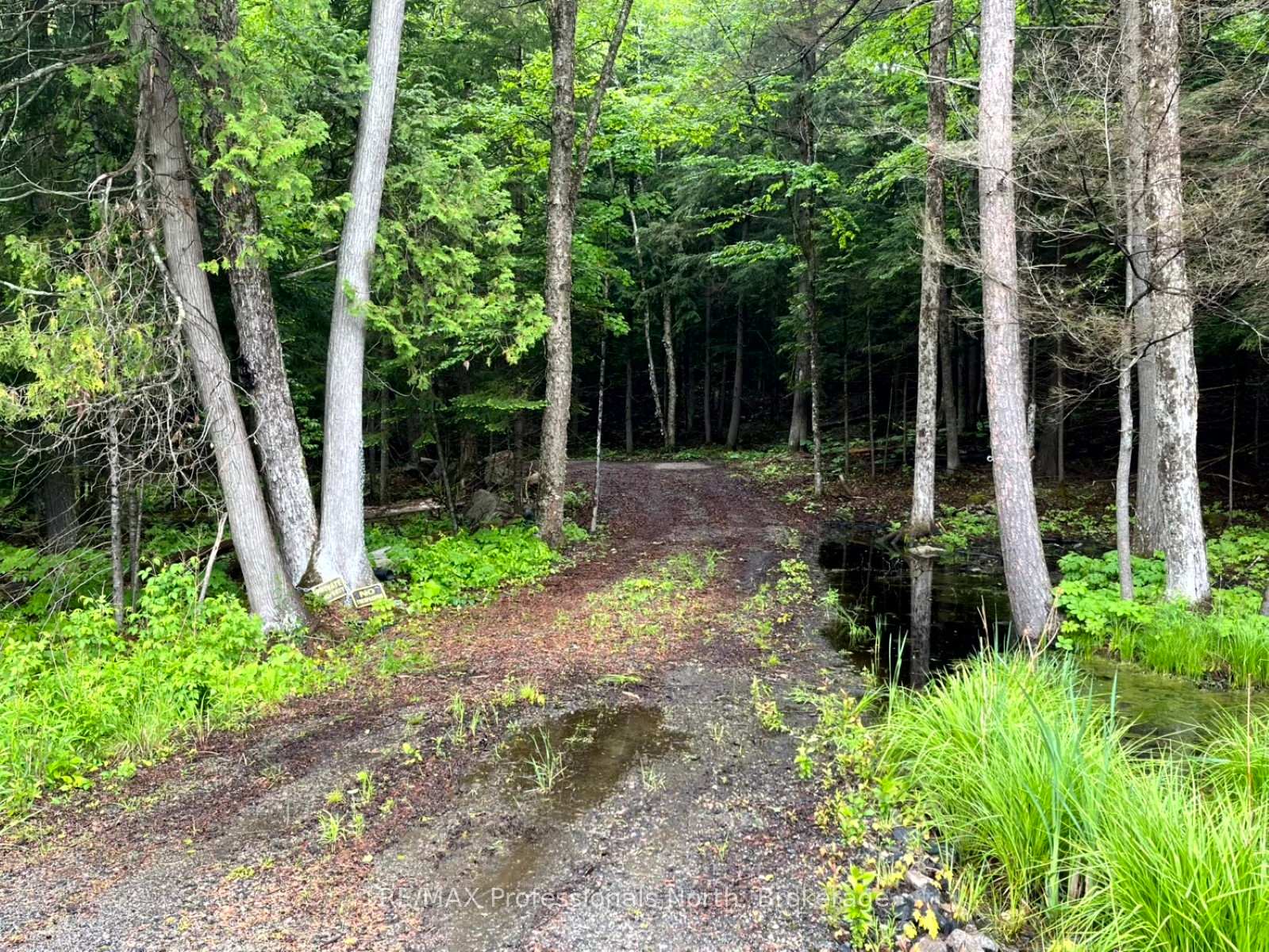 Photo 5 of County 21 Road, Minden Hills, Minden — HOMEH