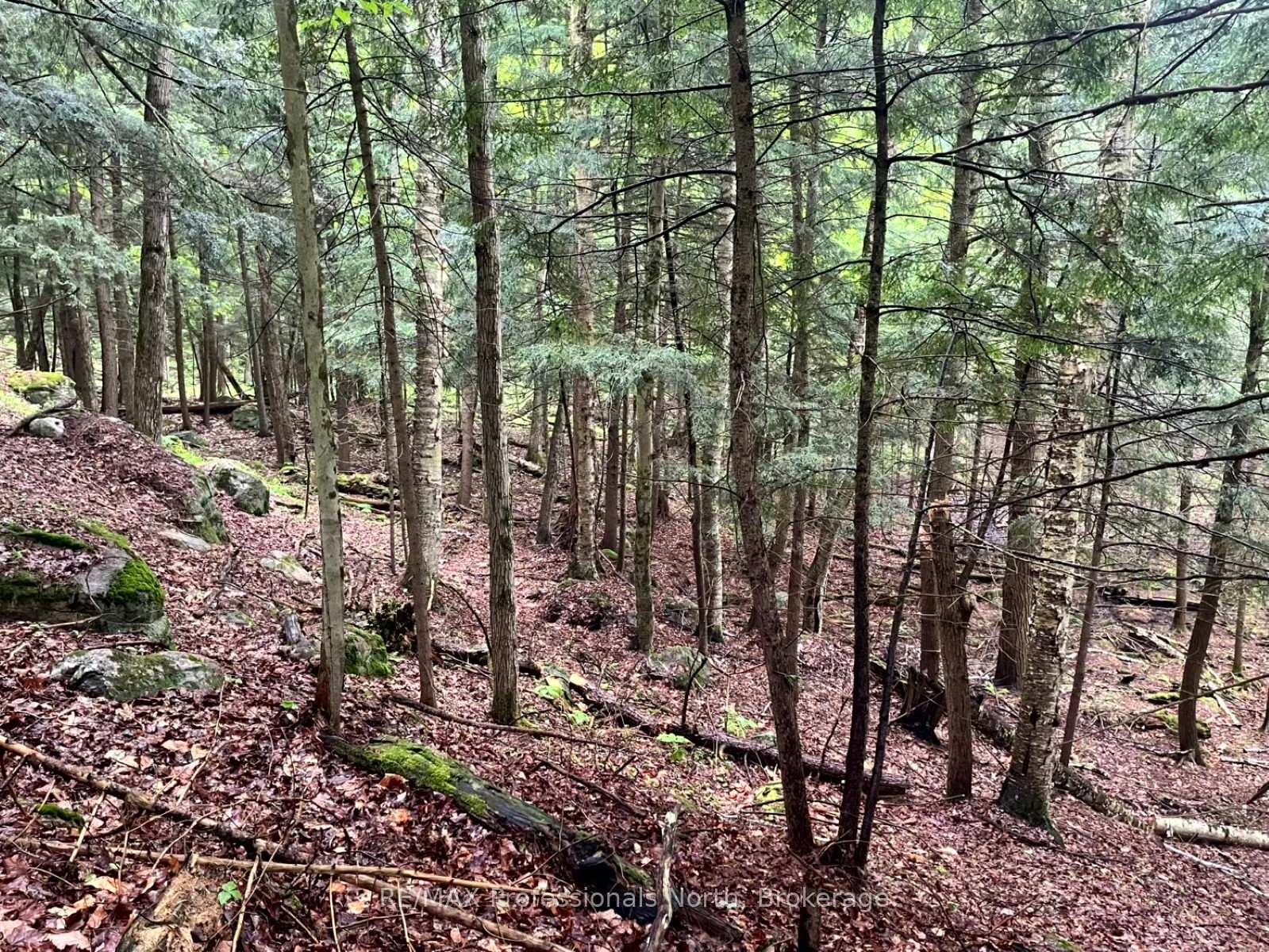 Photo 6 of County 21 Road, Minden Hills, Minden — HOMEH