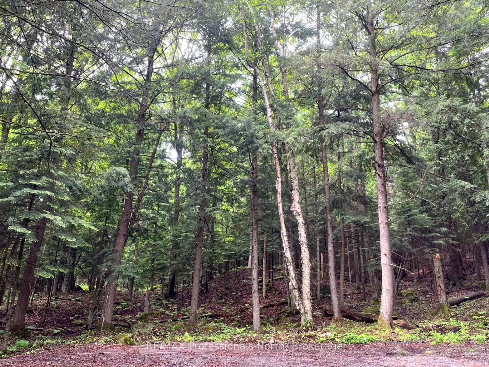 Photo 7 of County 21 Road, Minden Hills, Minden — HOMEH