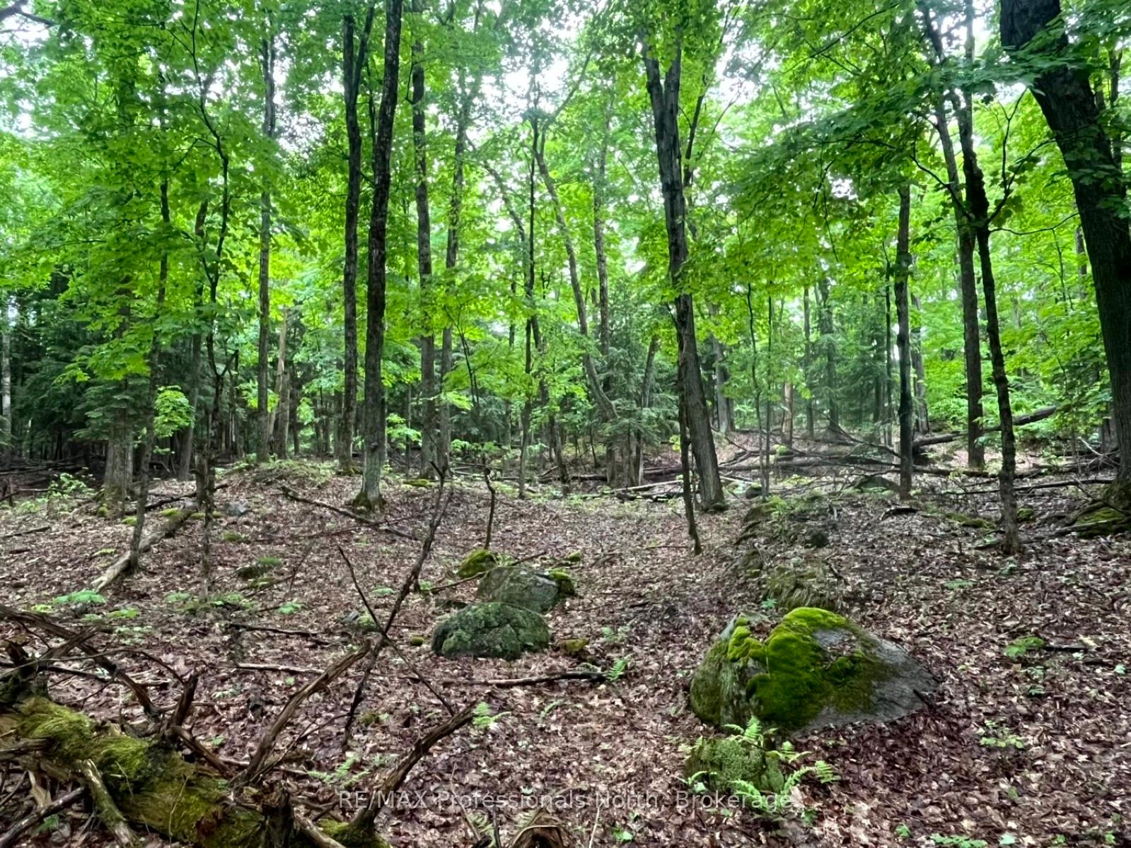 Photo 10 of County 21 Road, Minden Hills, Minden — HOMEH