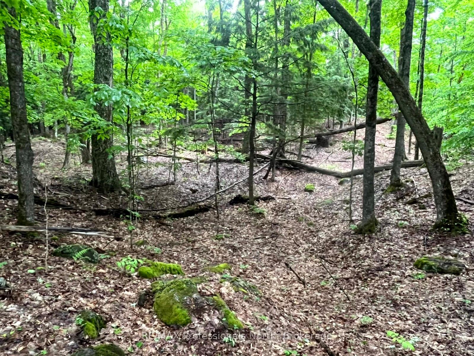 Photo 11 of County 21 Road, Minden Hills, Minden — HOMEH