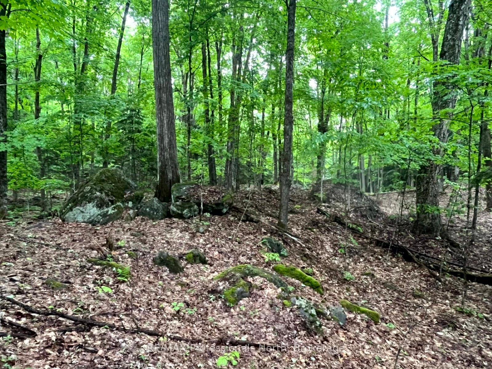 Photo 12 of County 21 Road, Minden Hills, Minden — HOMEH