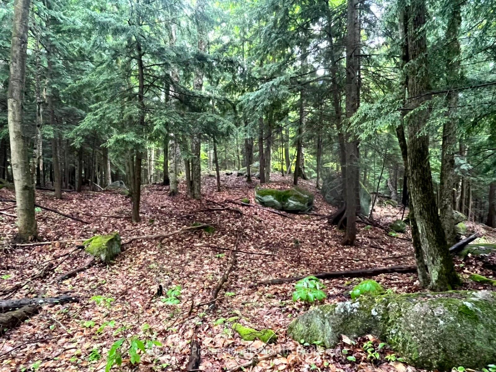 Photo 13 of County 21 Road, Minden Hills, Minden — HOMEH