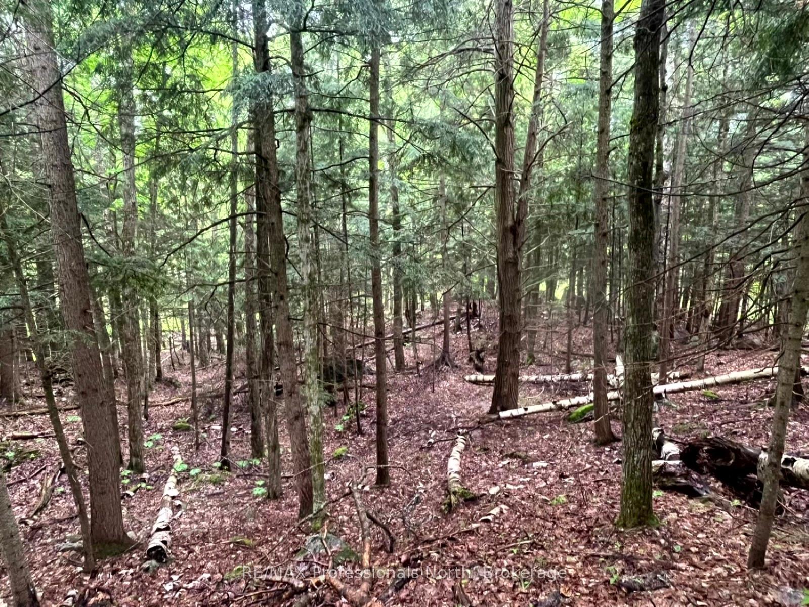 Photo 14 of County 21 Road, Minden Hills, Minden — HOMEH