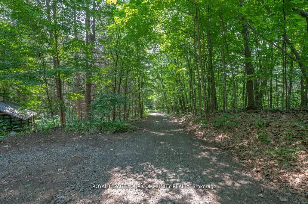 Photo 38 of 9297 Highway 118 E, Minden Hills, Minden — HOMEH