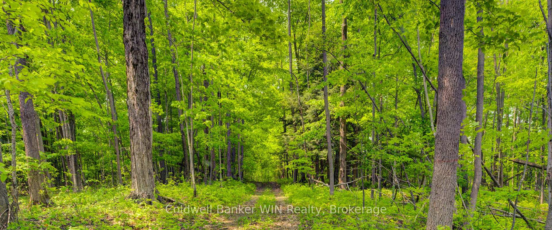 Photo 9 of 9609 O'dwyers Road, Minto — HOMEH