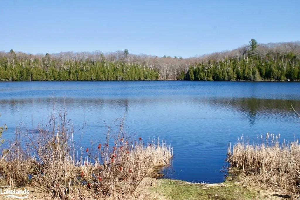 Photo 2 of Highway 35, Minden Hills, Lutterworth — HOMEH