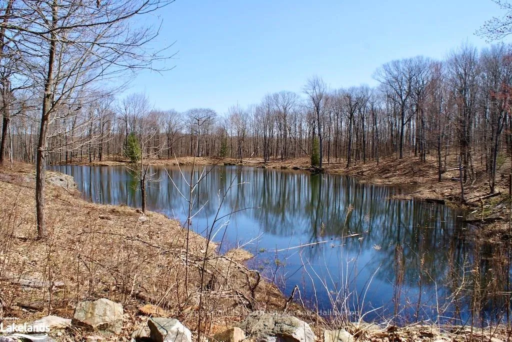 Photo 4 of Highway 35, Minden Hills, Lutterworth — HOMEH