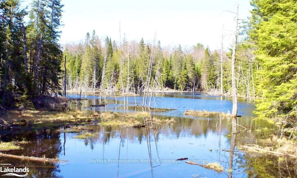 Photo 9 of Highway 35, Minden Hills, Lutterworth — HOMEH
