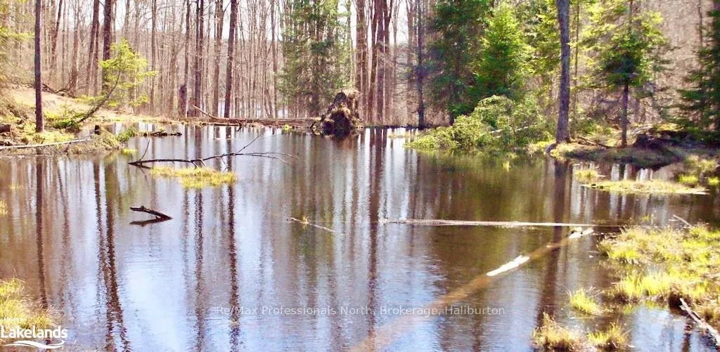Photo 10 of Highway 35, Minden Hills, Lutterworth — HOMEH