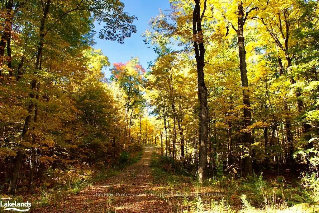 Photo 12 of Highway 35, Minden Hills, Lutterworth — HOMEH