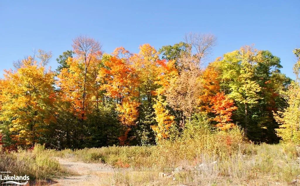 Photo 13 of Highway 35, Minden Hills, Lutterworth — HOMEH