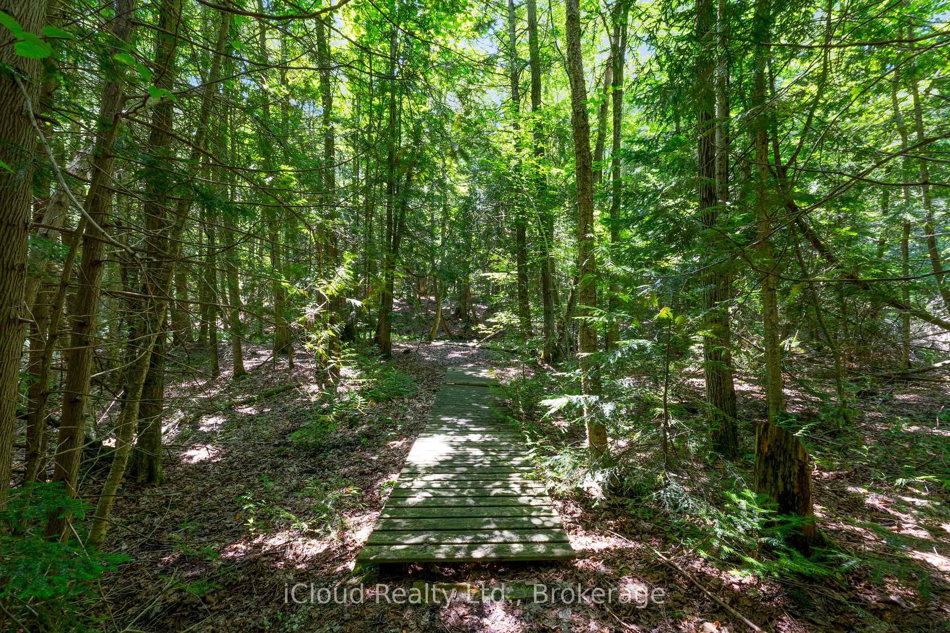 Photo 36 of 487202 30 Side Road, Mono, Rural Mono — HOMEH