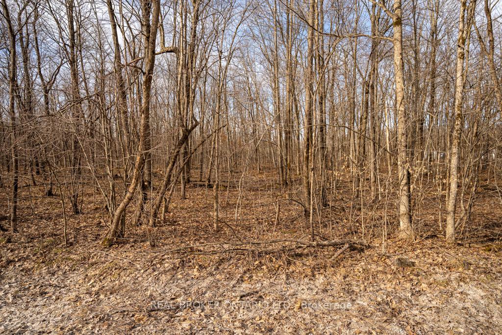 Photo 12 of Lot 9 Burchill Road, Montague, Montague Twp — HOMEH