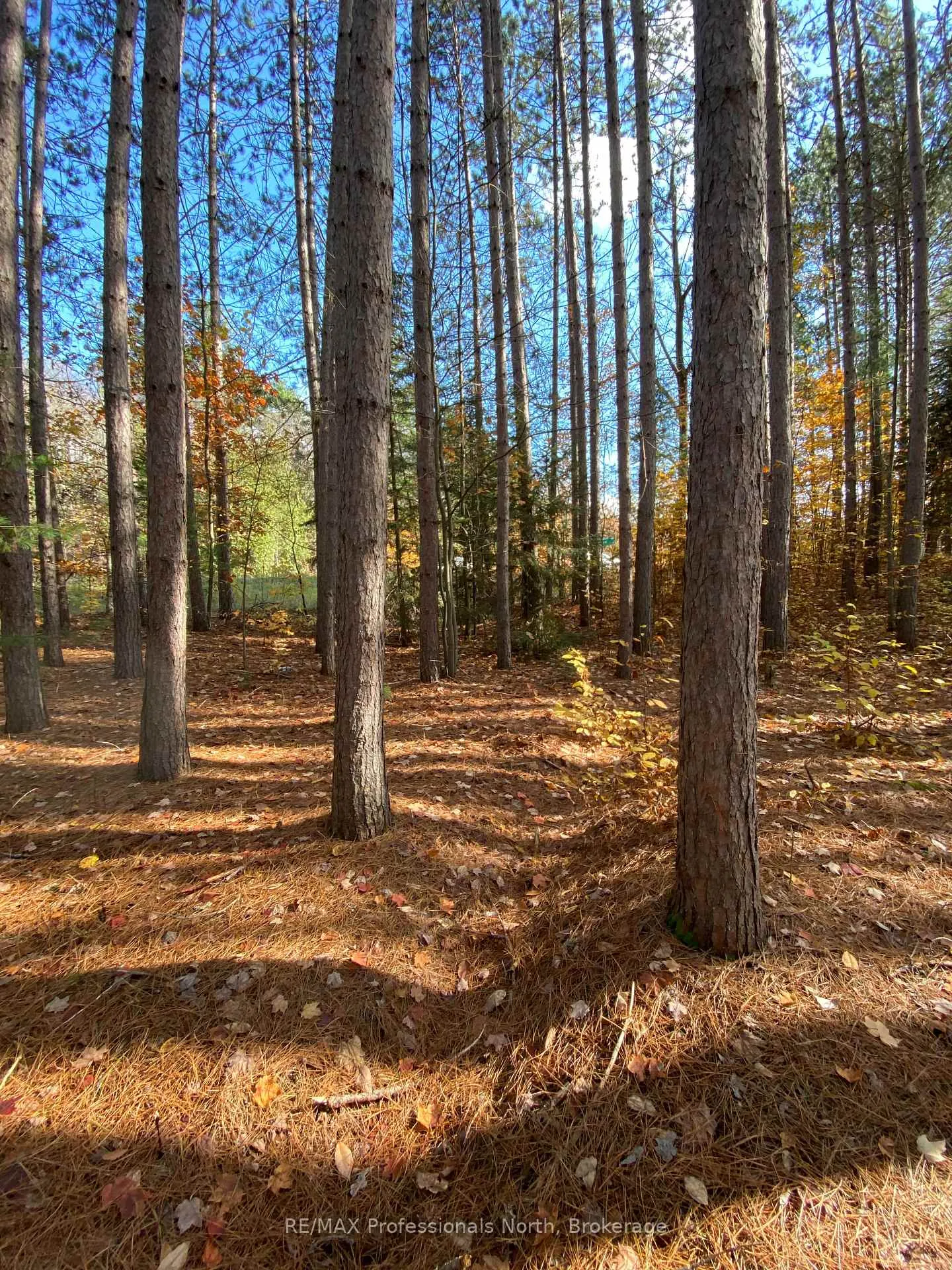 Photo 1 of Maebar Road, Minden Hills, Minden — HOMEH