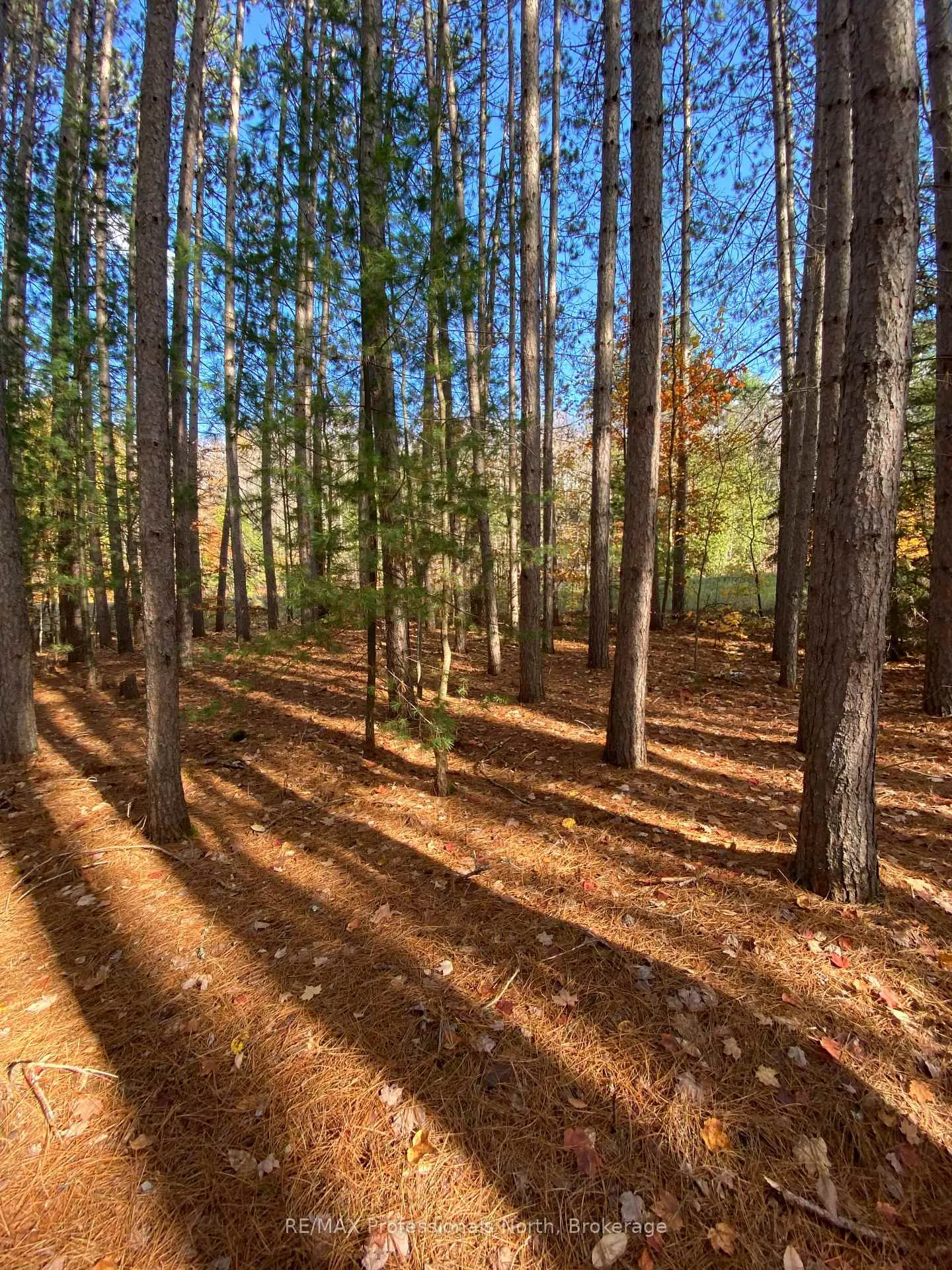 Photo 2 of Maebar Road, Minden Hills, Minden — HOMEH