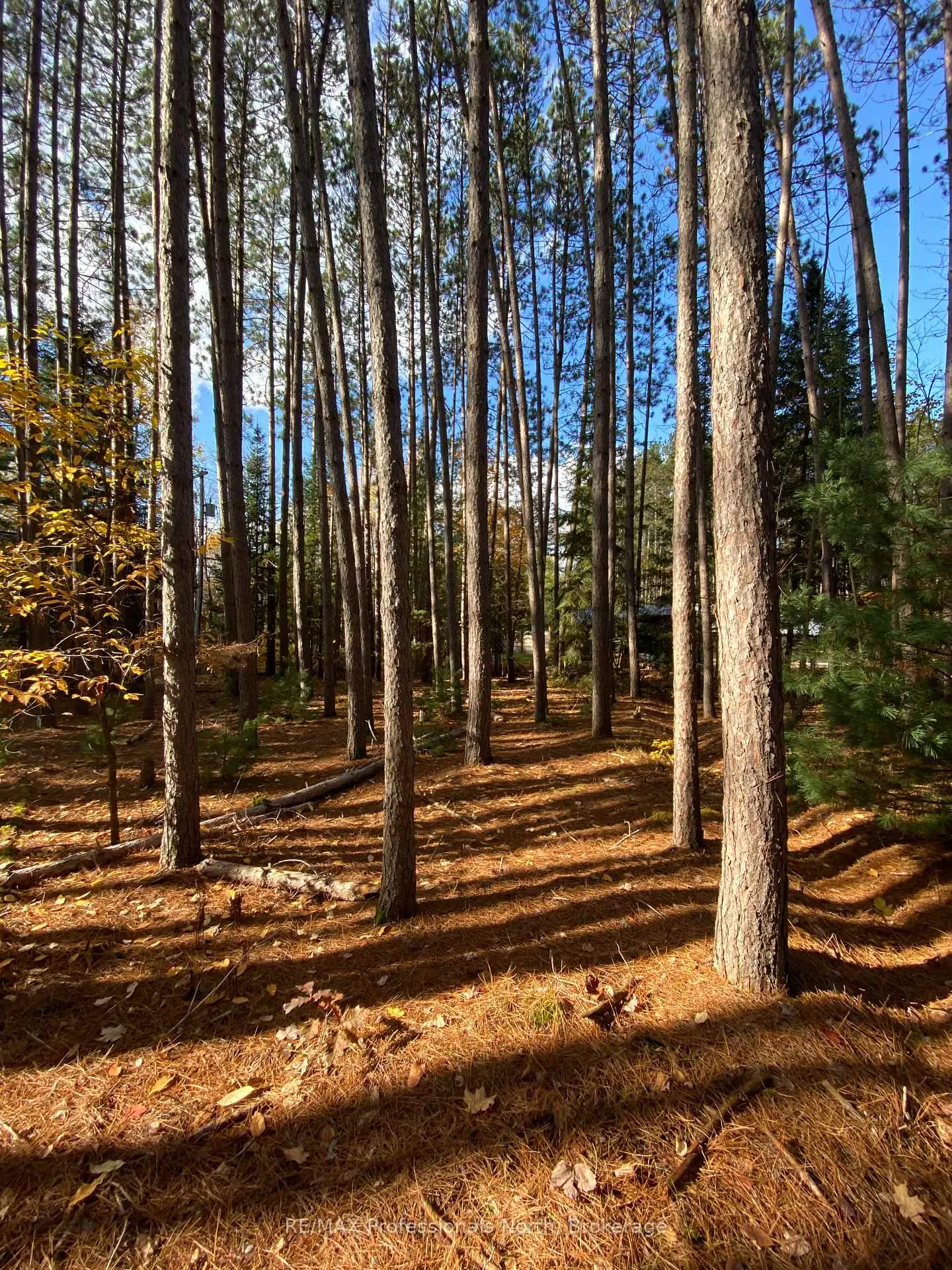 Photo 3 of Maebar Road, Minden Hills, Minden — HOMEH