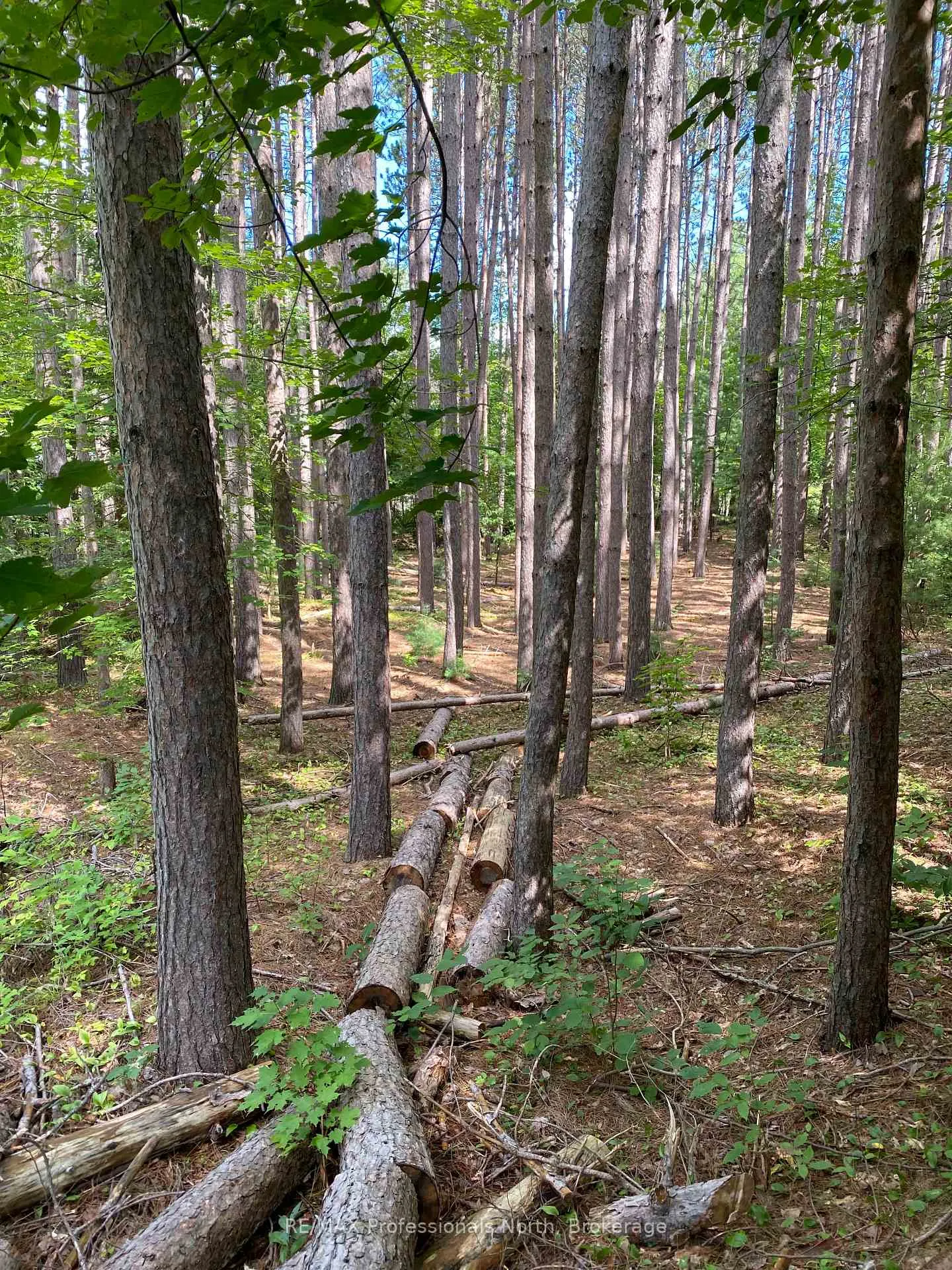 Photo 5 of Maebar Road, Minden Hills, Minden — HOMEH