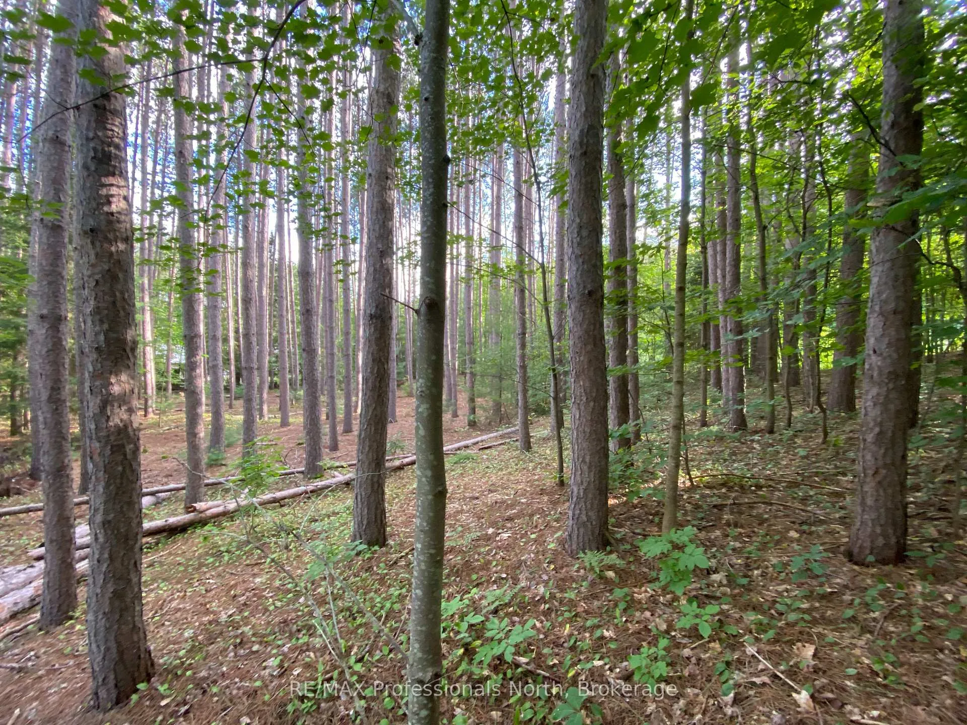 Photo 6 of Maebar Road, Minden Hills, Minden — HOMEH