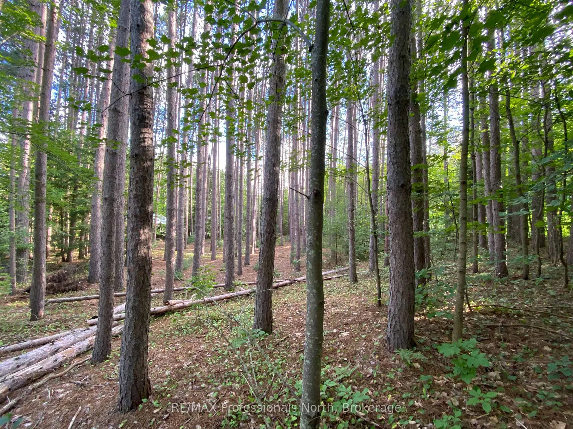 Photo 7 of Maebar Road, Minden Hills, Minden — HOMEH