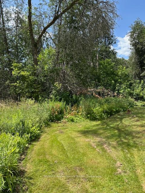 Photo 26 of 1019 Spring Valley Road, Minden Hills, Minden — HOMEH