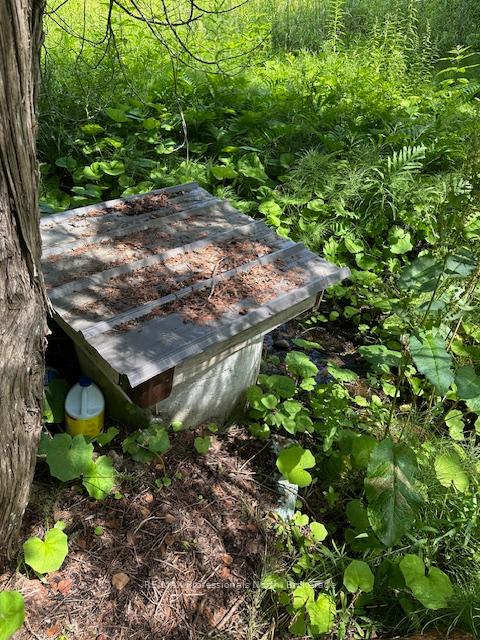 Photo 34 of 1019 Spring Valley Road, Minden Hills, Minden — HOMEH