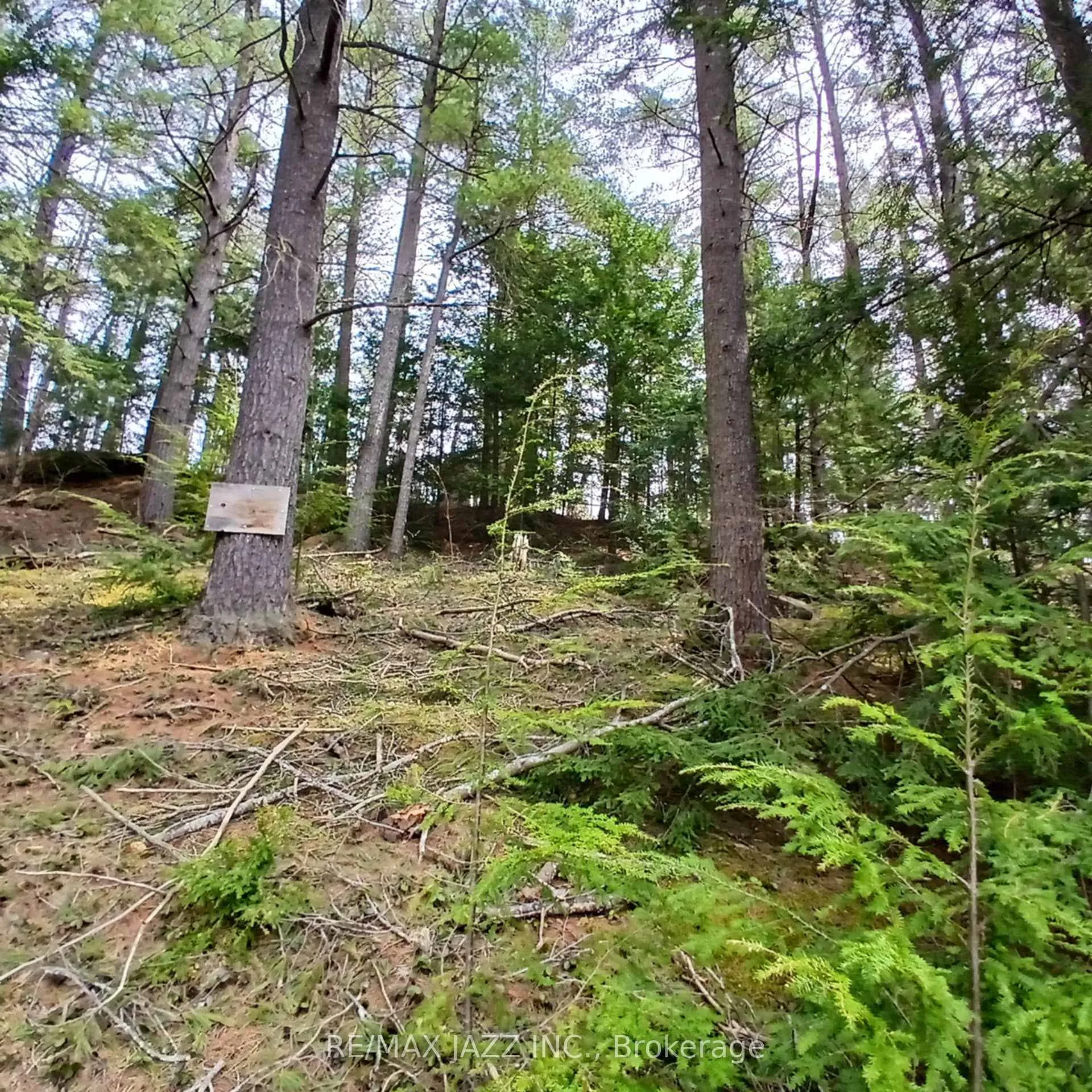 Photo 6 of Concession 3 Road, Minden Hills, Minden — HOMEH