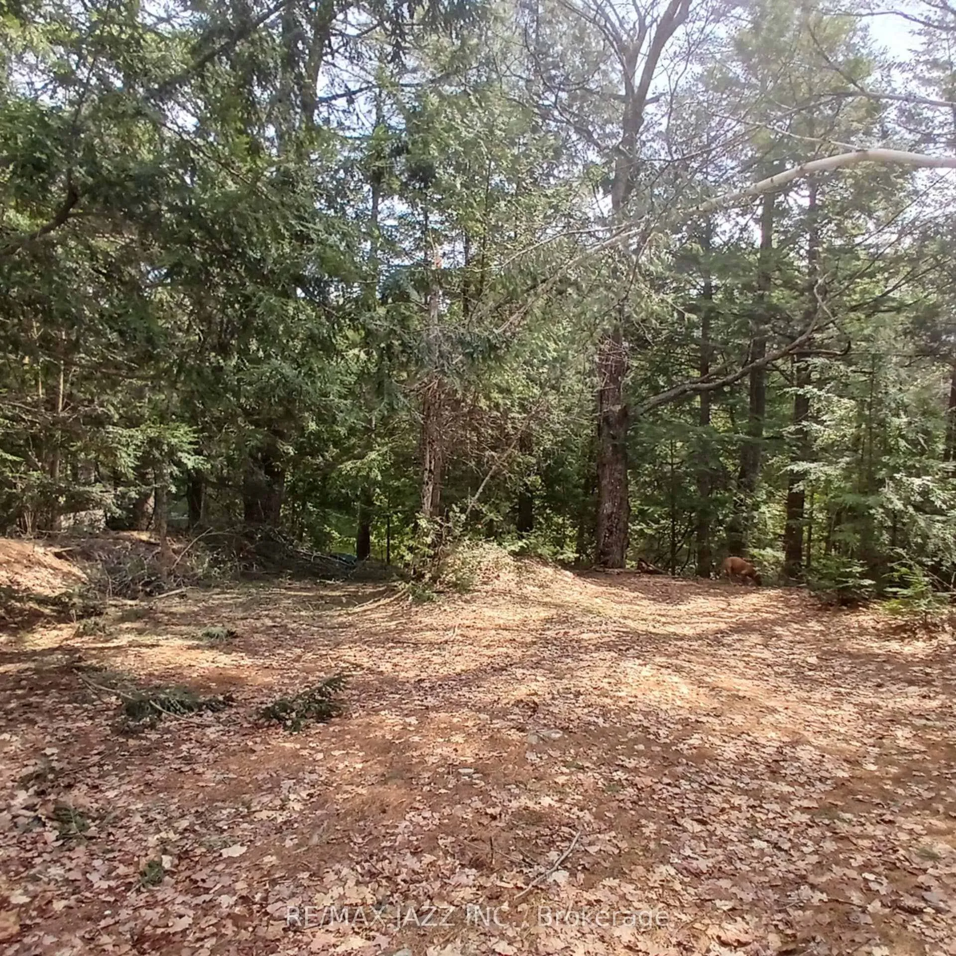 Photo 7 of Concession 3 Road, Minden Hills, Minden — HOMEH