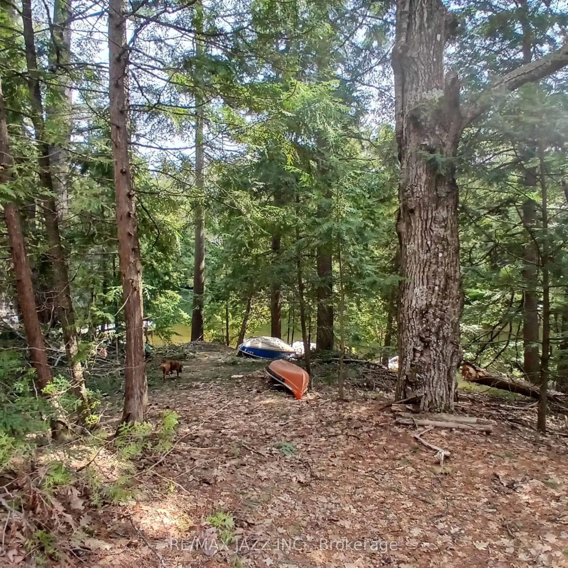 Photo 9 of Concession 3 Road, Minden Hills, Minden — HOMEH
