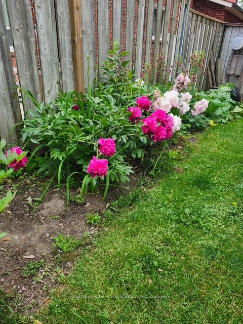 Photo 39 of 69 Spragg Circle, Markham, Markham Village — HOMEH