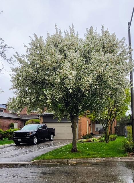 Photo 41 of 69 Spragg Circle, Markham, Markham Village — HOMEH