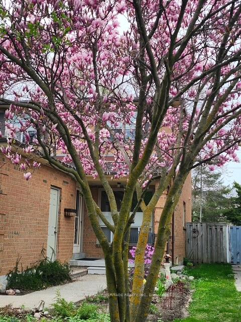 Photo 42 of 69 Spragg Circle, Markham, Markham Village — HOMEH