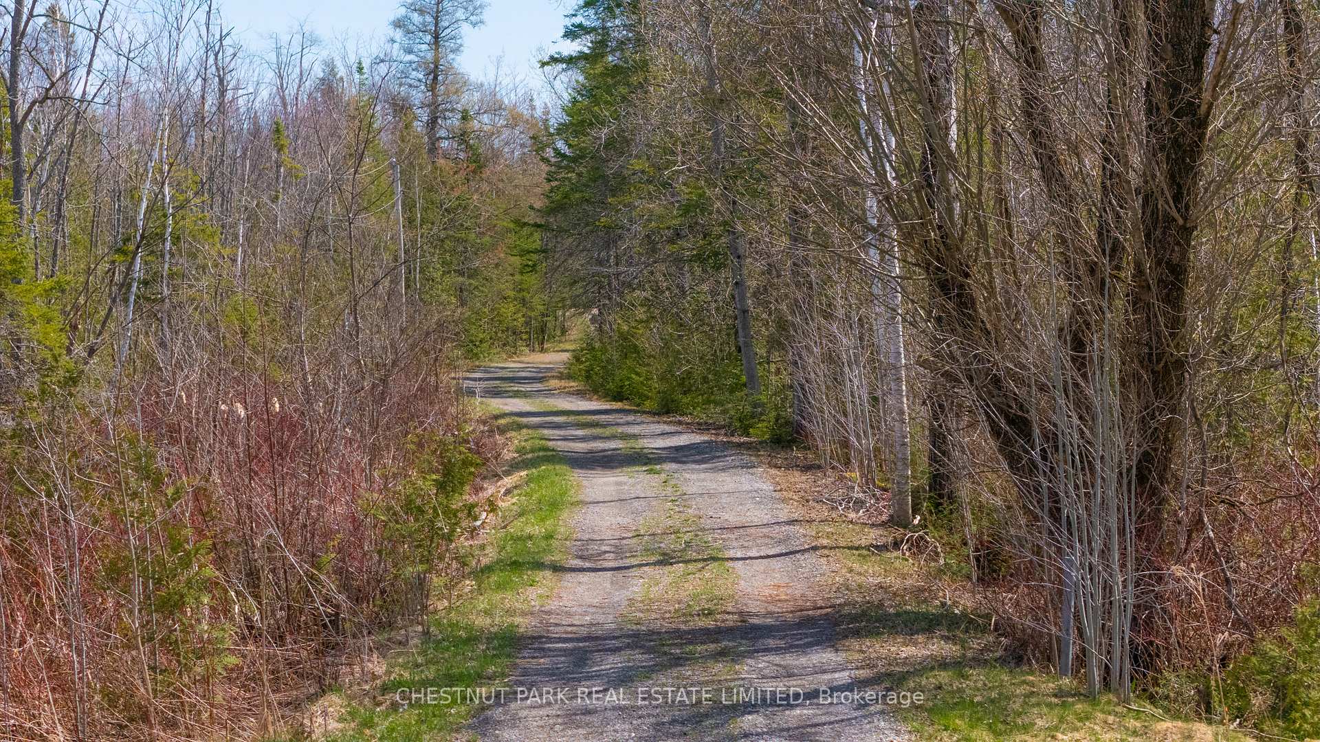 Photo 5 of 714550 1st Line EHS, Mono, Rural Mono — HOMEH