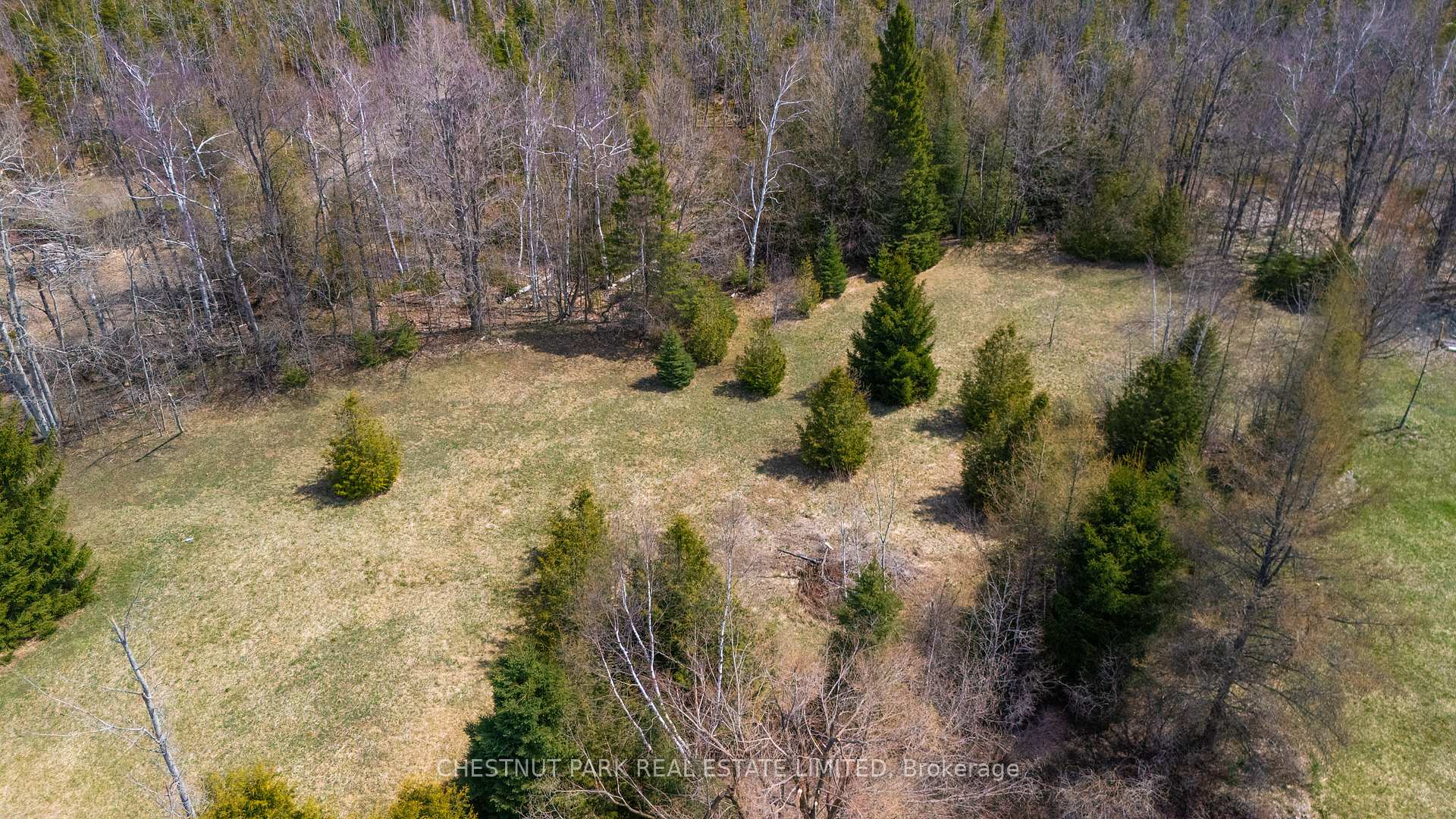 Photo 39 of 714550 1st Line EHS, Mono, Rural Mono — HOMEH
