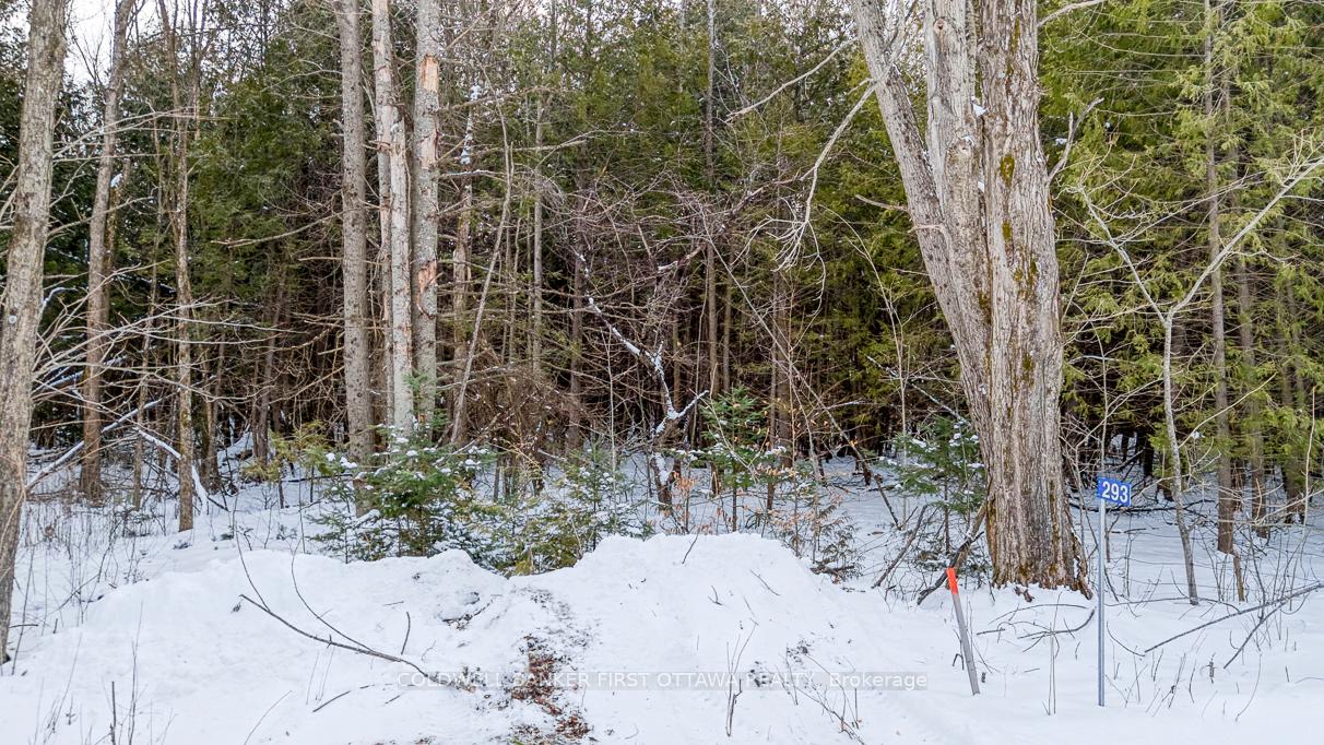 Photo 2 of 293 Brown Road, Montague, Montague Twp — HOMEH
