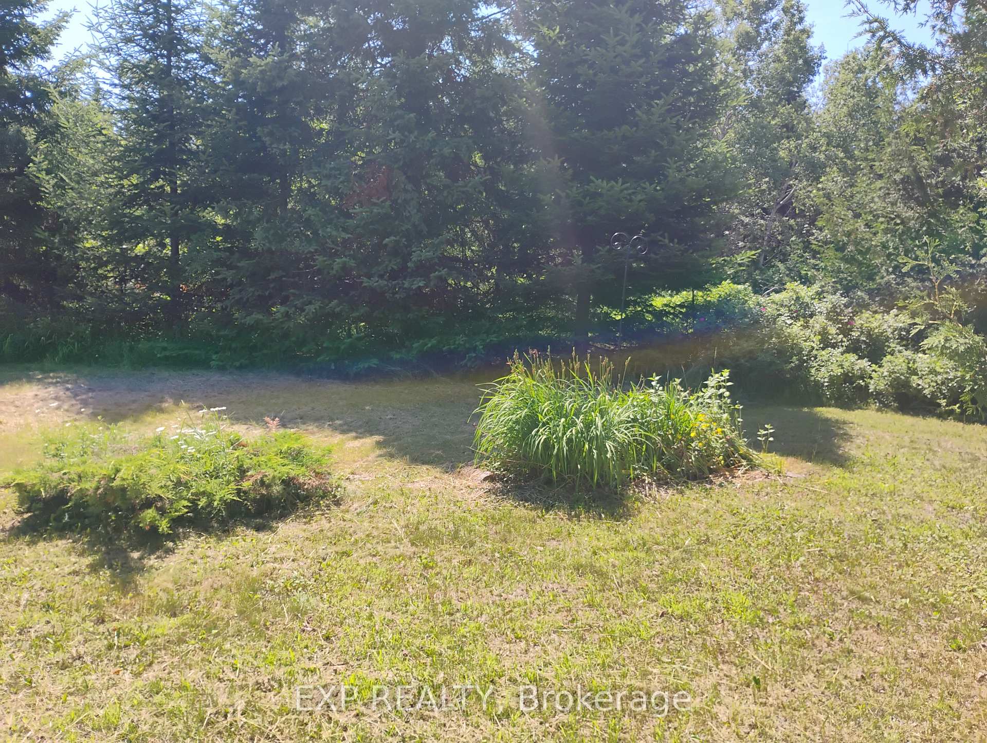 Photo 6 of 2808 Gelert Road, Minden Hills, Snowdon — HOMEH