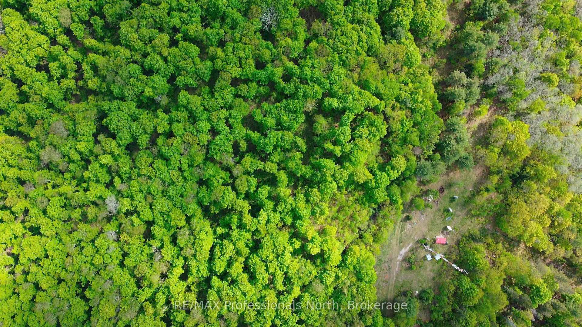 Photo 18 of 1062 County Road 21, Minden Hills, Minden — HOMEH