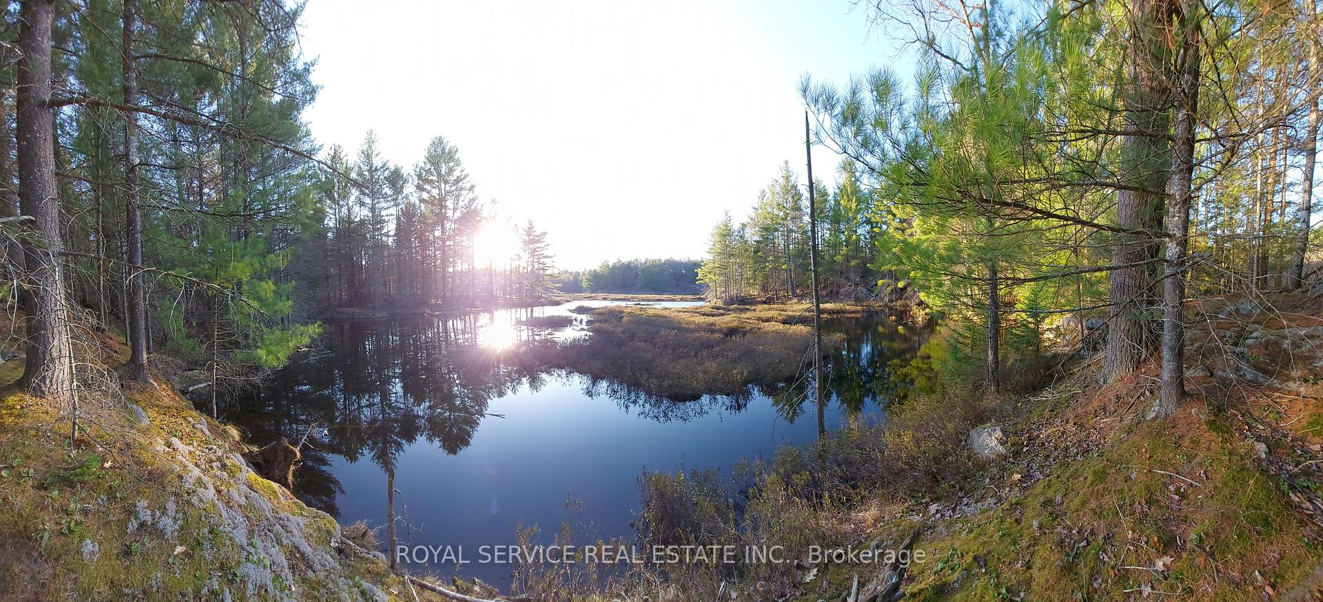 Photo 4 of 8709 Highway 35, Minden Hills, Lutterworth — HOMEH
