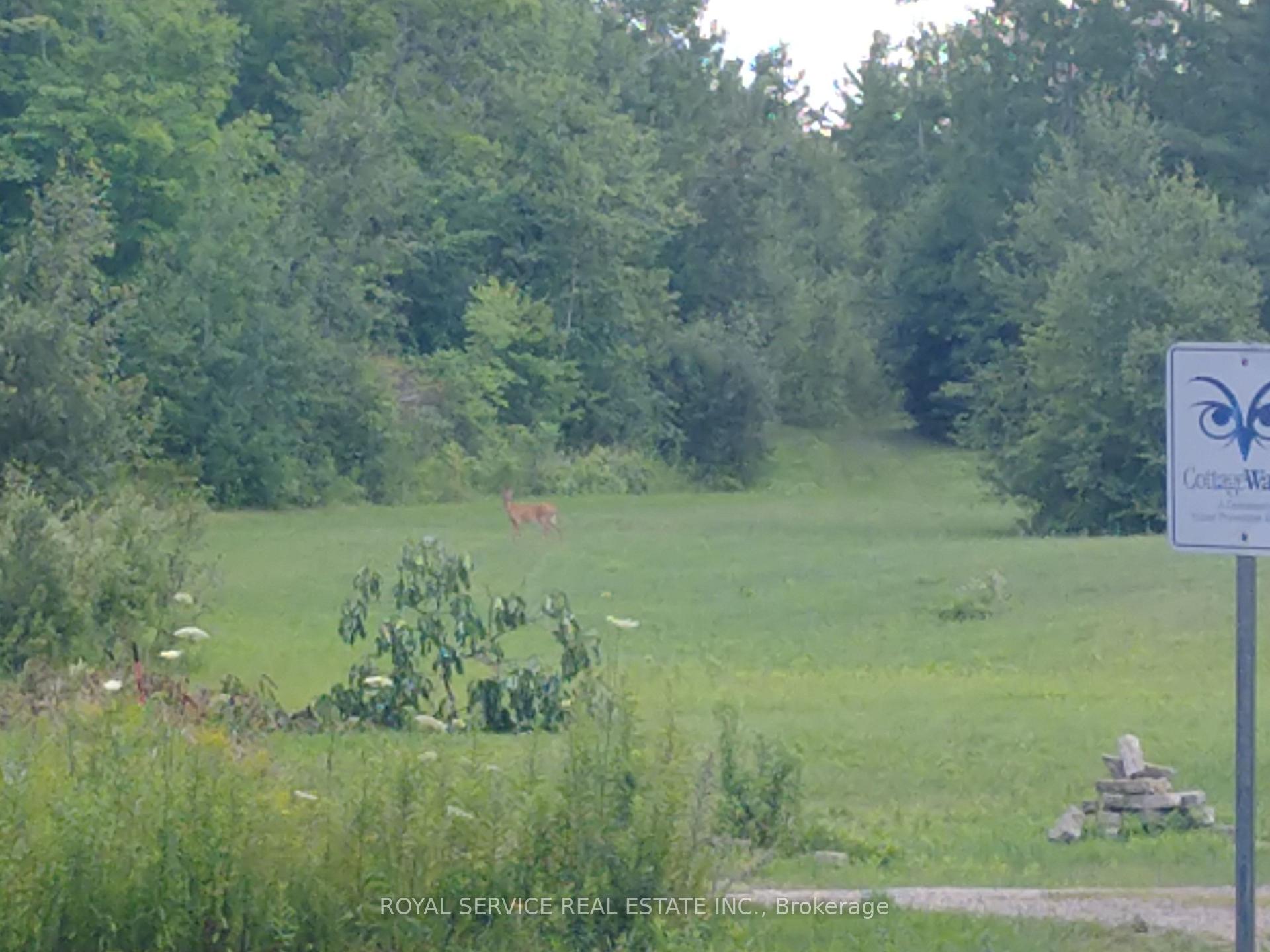 Photo 10 of 8709 Highway 35, Minden Hills, Lutterworth — HOMEH