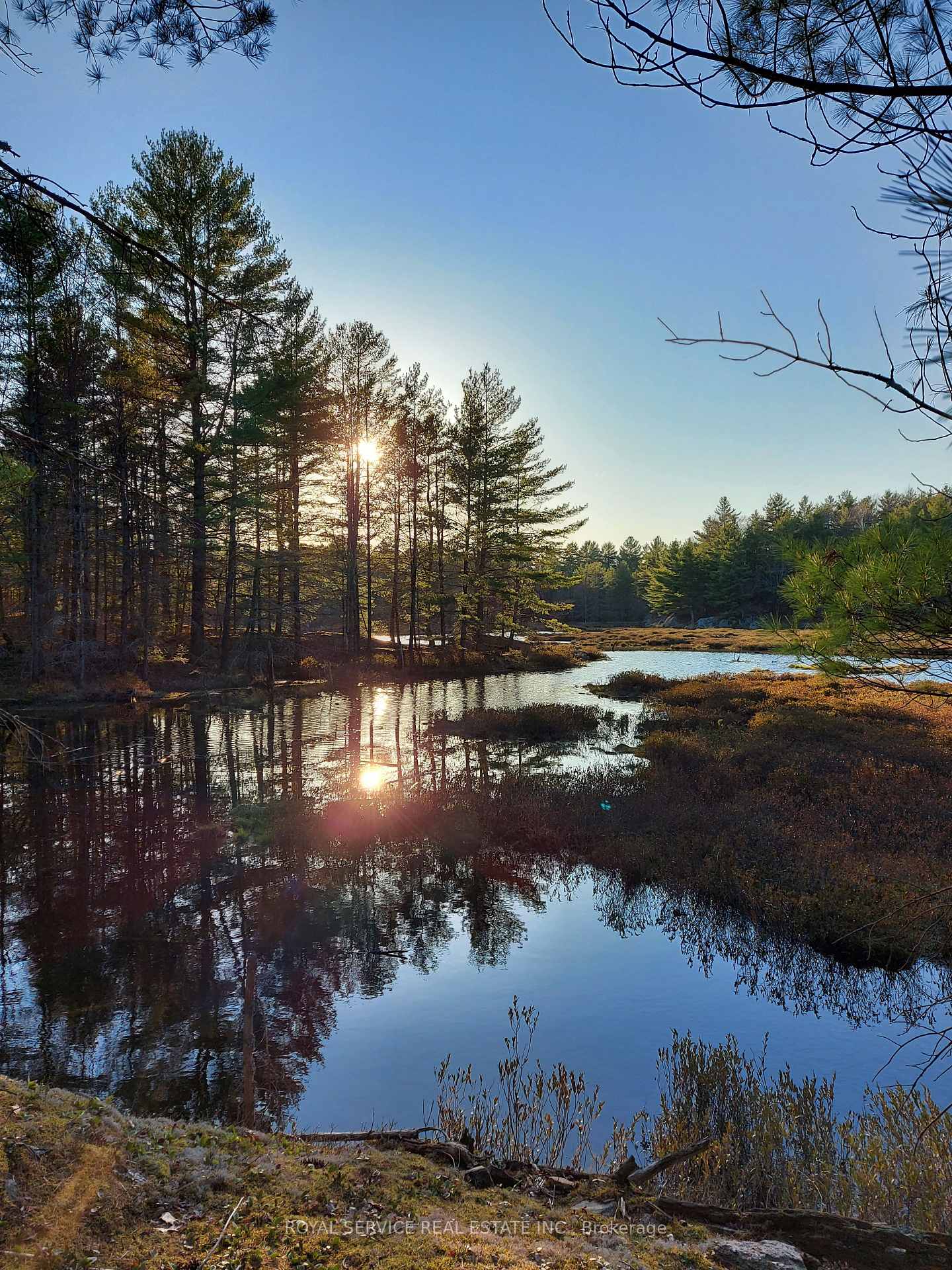 Photo 11 of 8709 Highway 35, Minden Hills, Lutterworth — HOMEH
