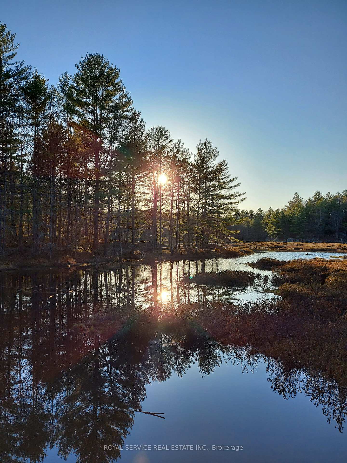 Photo 12 of 8709 Highway 35, Minden Hills, Lutterworth — HOMEH