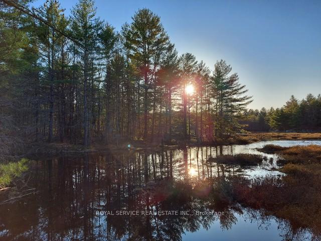 Photo 13 of 8709 Highway 35, Minden Hills, Lutterworth — HOMEH