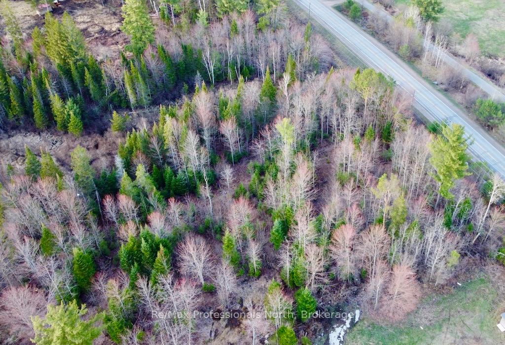 Photo 3 of 4177 County Road 121, Minden Hills, Lutterworth — HOMEH
