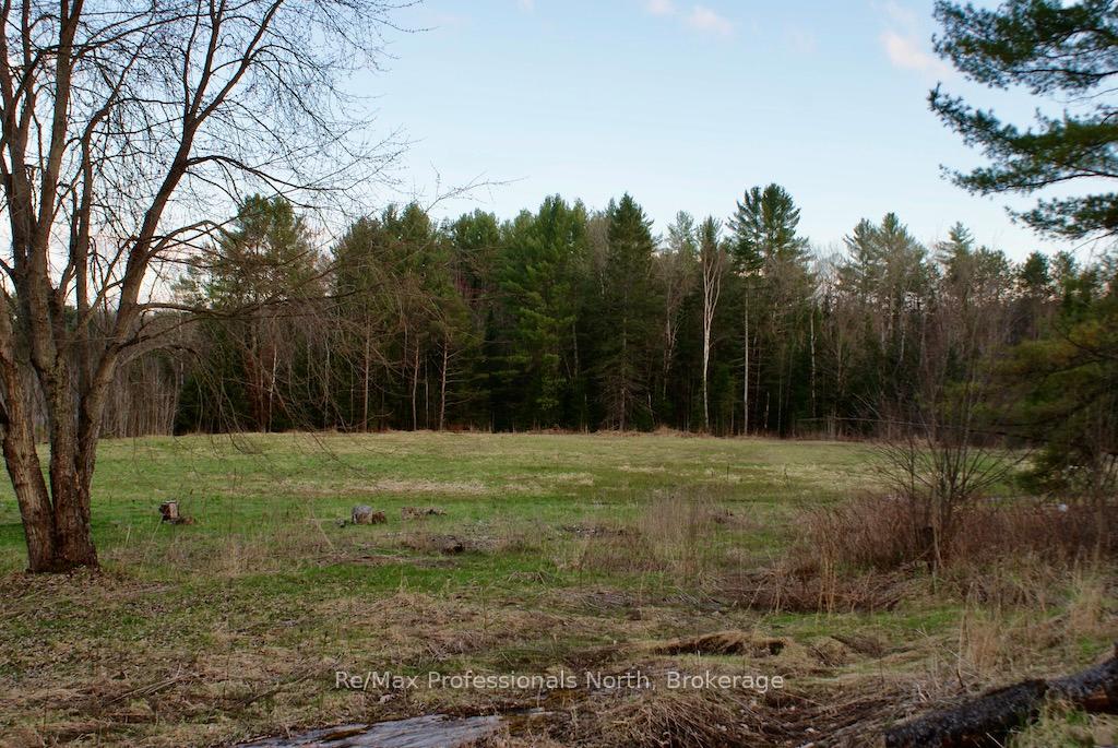Photo 29 of 4177 County Road 121, Minden Hills, Lutterworth — HOMEH