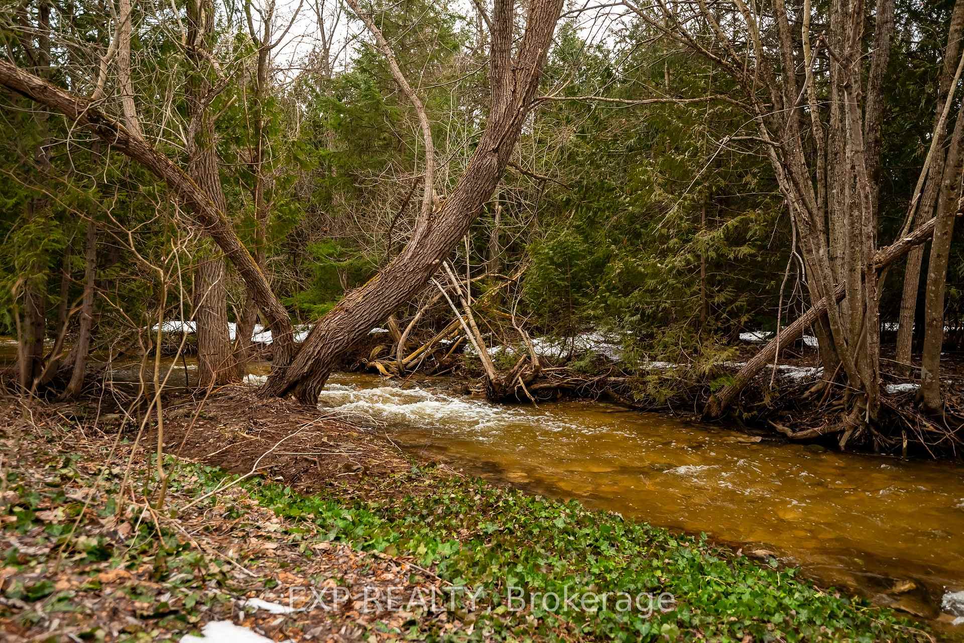 Photo 5 of 307073 Hockley Road, Mono, Rural Mono — HOMEH